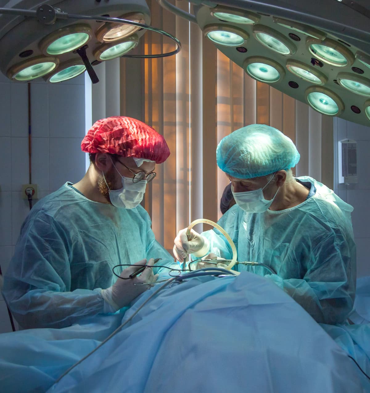 Voorbereiding op een operatie in de dierenkliniek